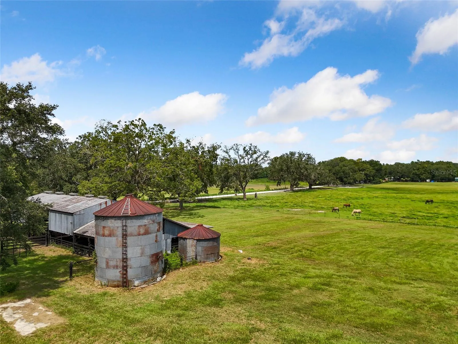 Silo, barn, and Pasture