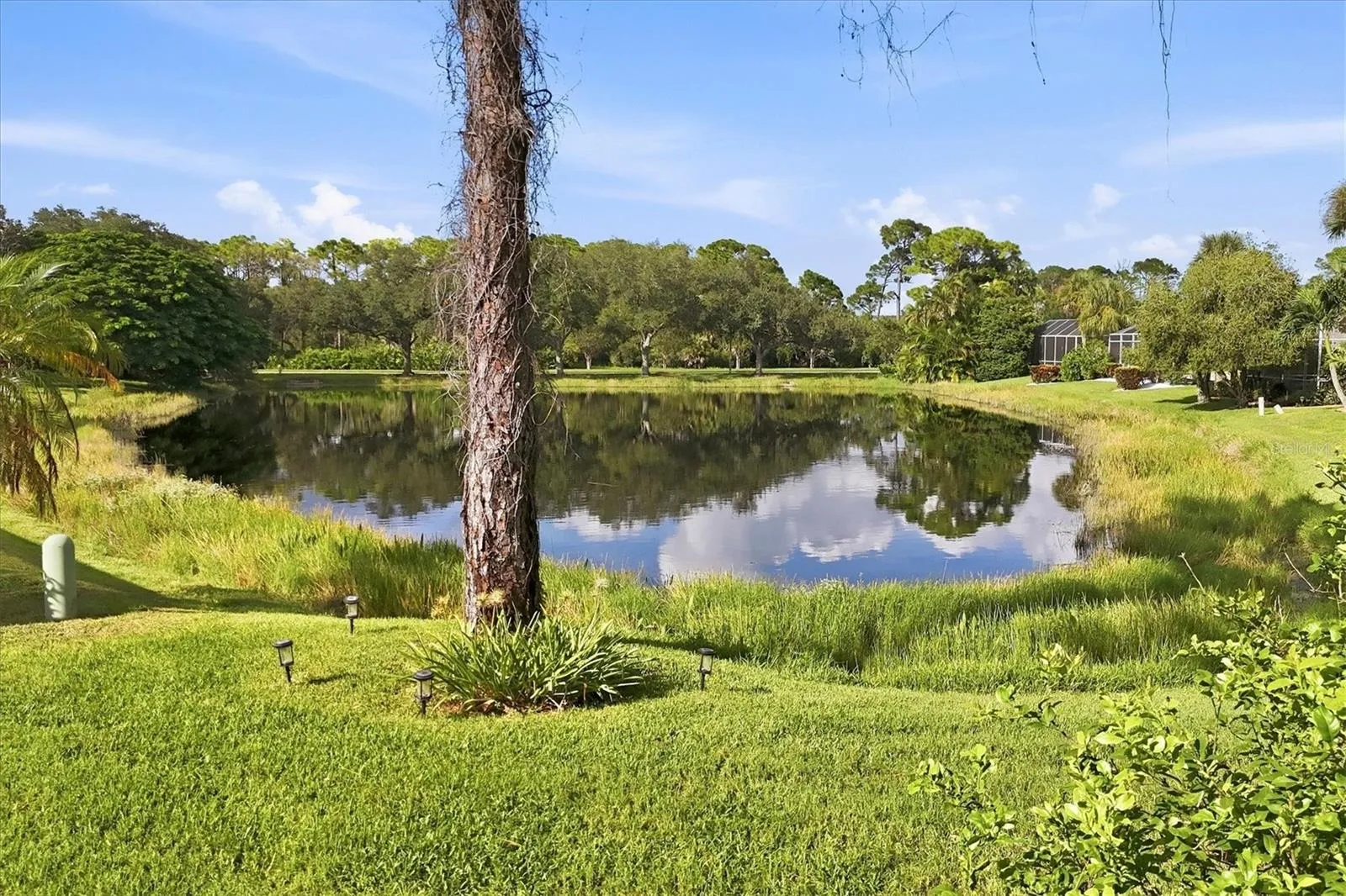 Pond behind house.