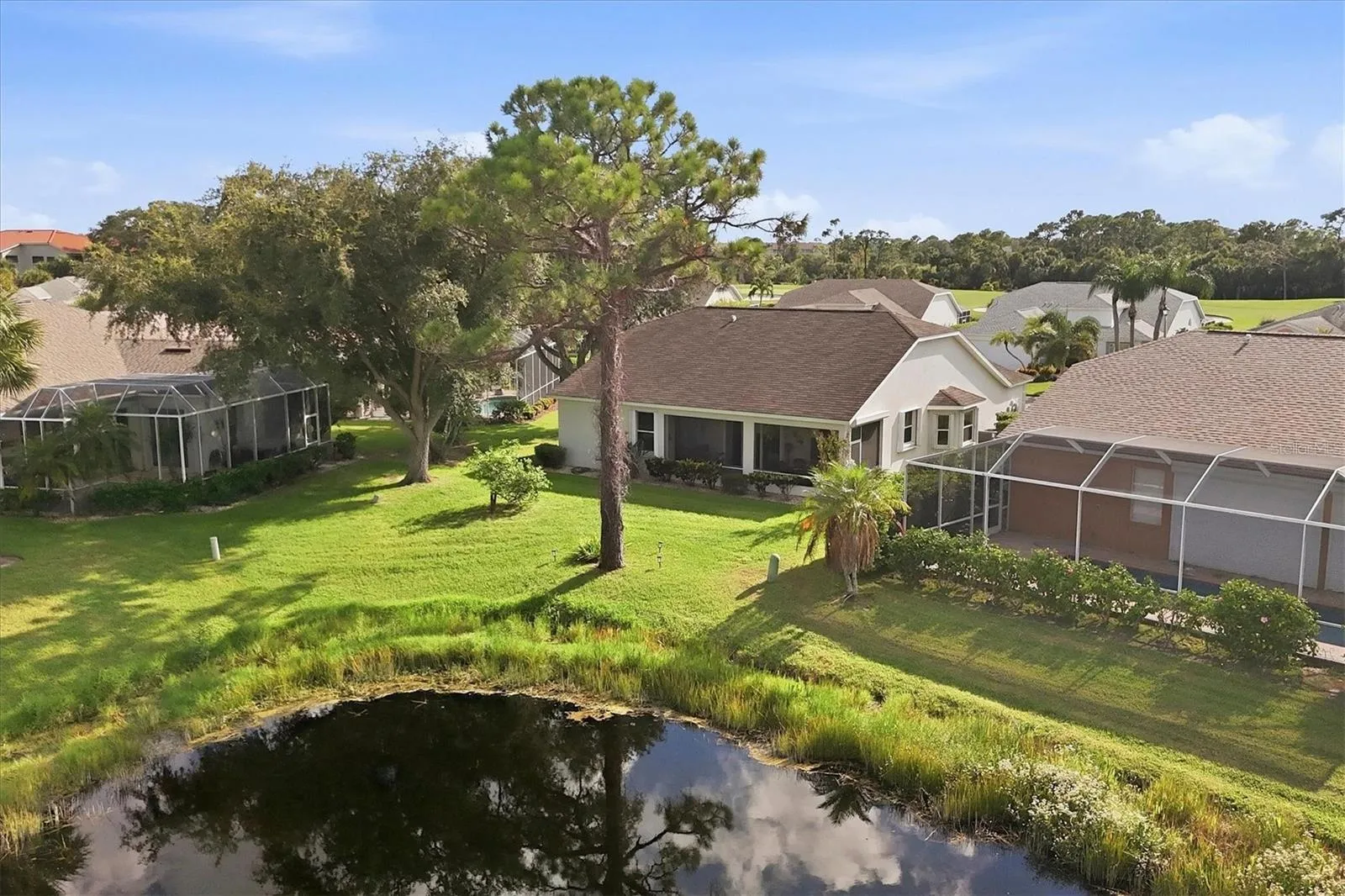 Pond behind house.
