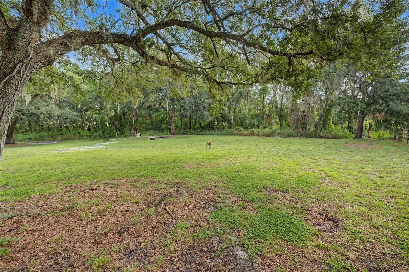 3935 Ewell Rd, Lakeland, Florida 33811 — photo 34