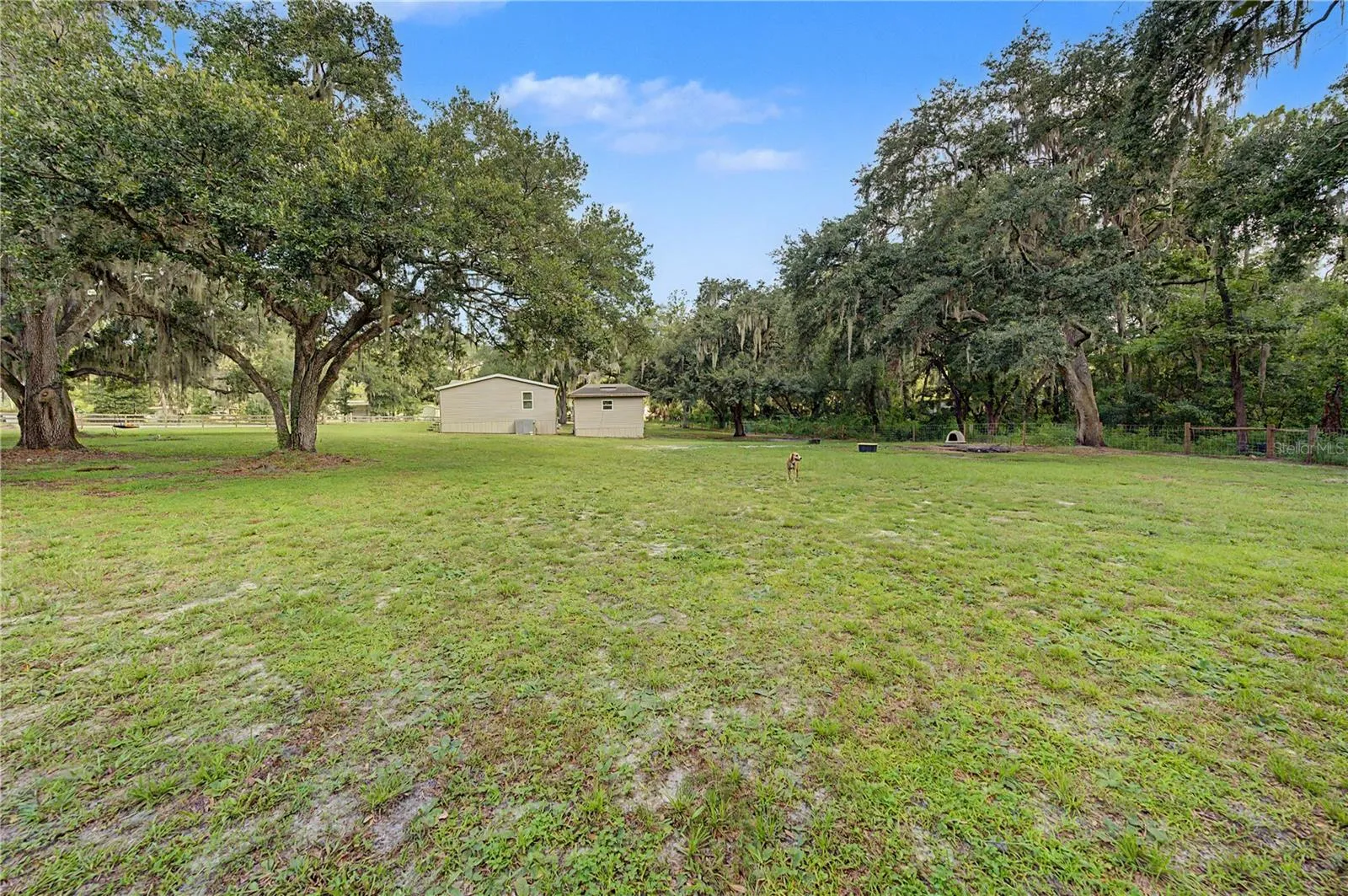 3935 Ewell Rd, Lakeland, Florida 33811 — photo 35