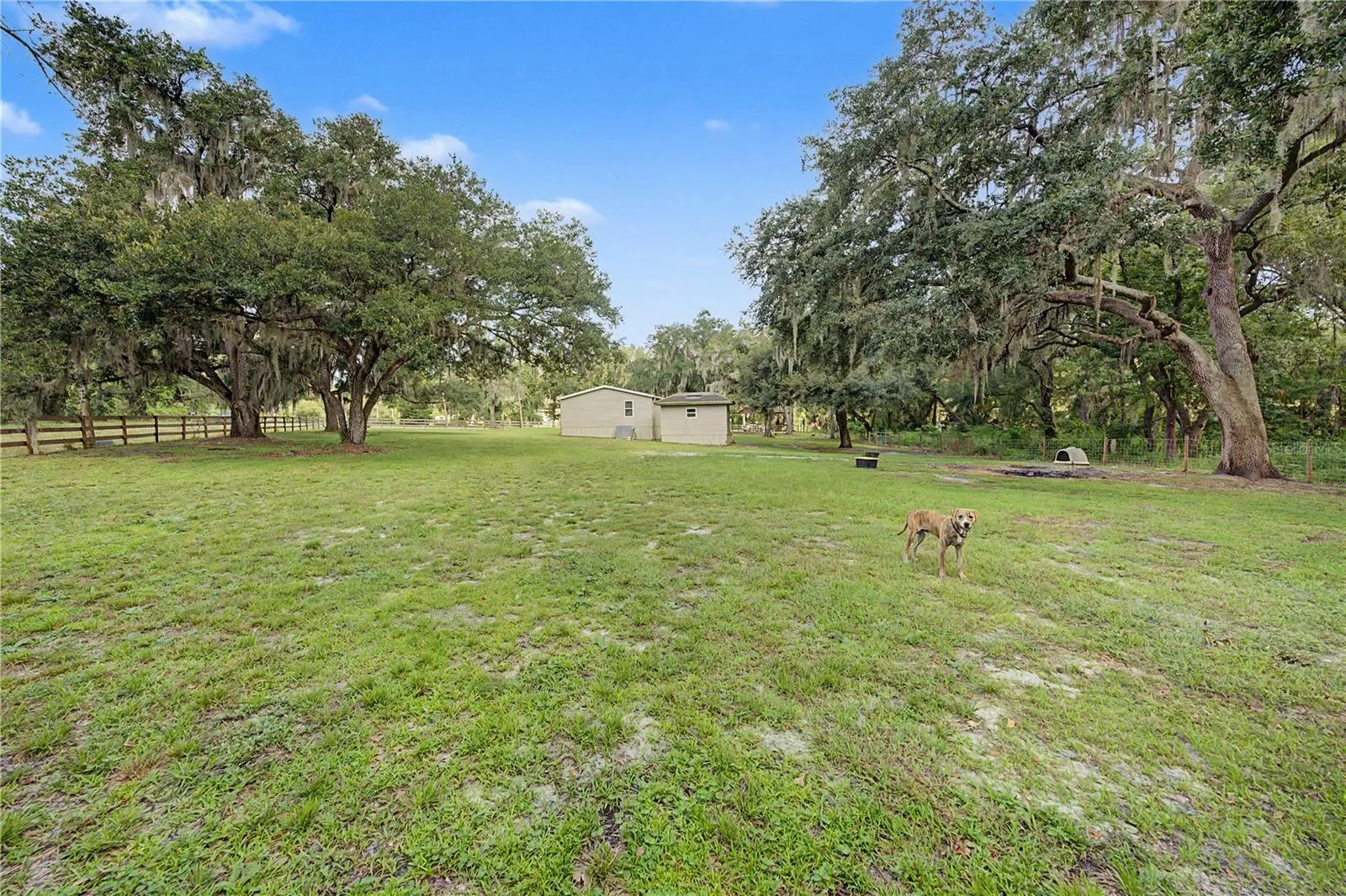 3935 Ewell Rd, Lakeland, Florida 33811 — photo 36
