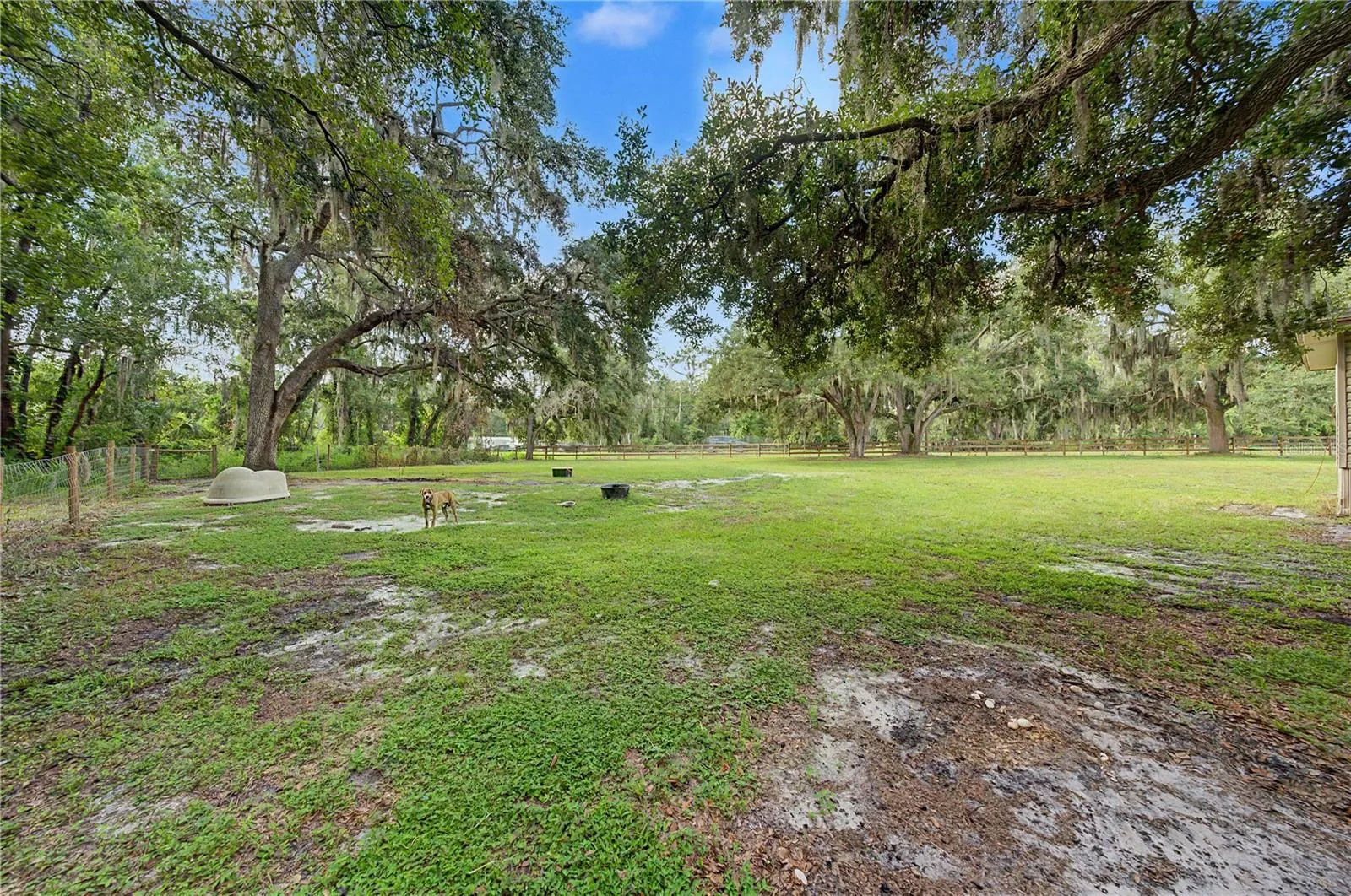 3935 Ewell Rd, Lakeland, Florida 33811 — photo 37
