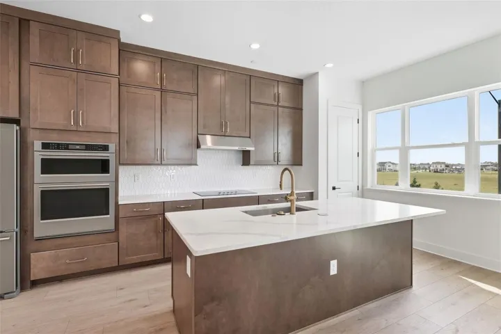 Gourmet kitchen