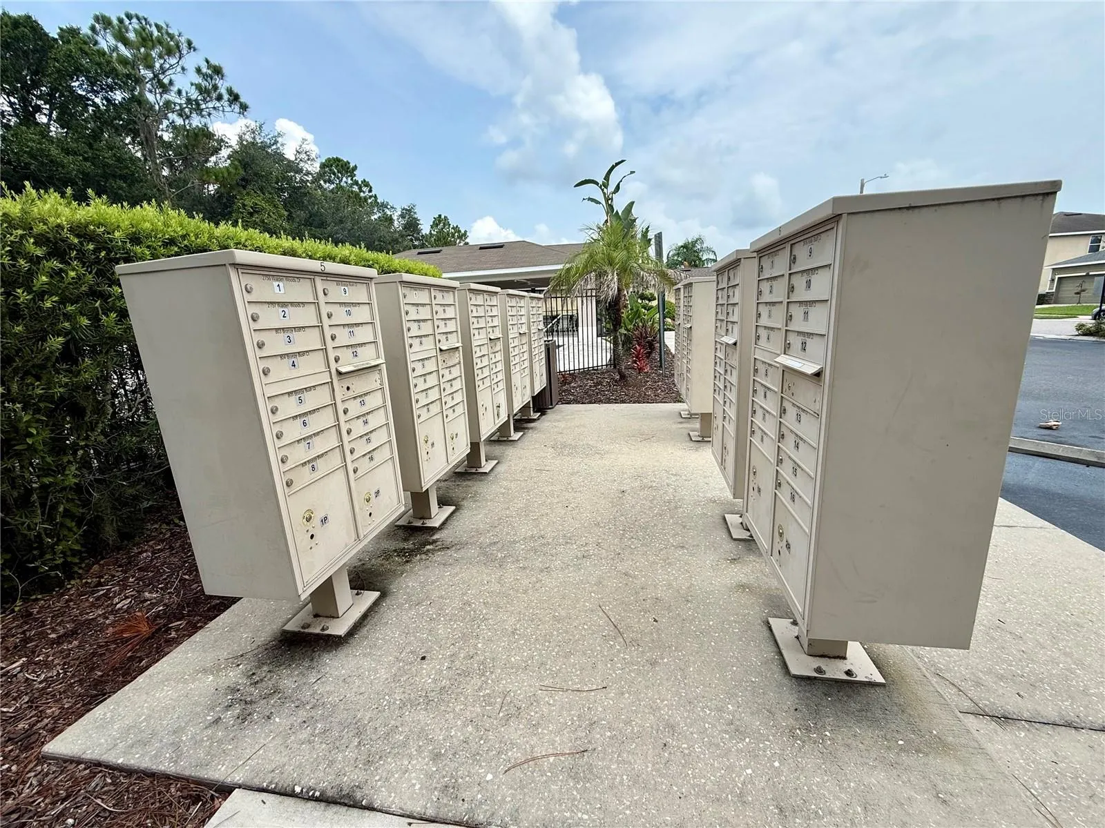 2616 Walden Woods Dr, Plant City, Florida 33566 — photo 53