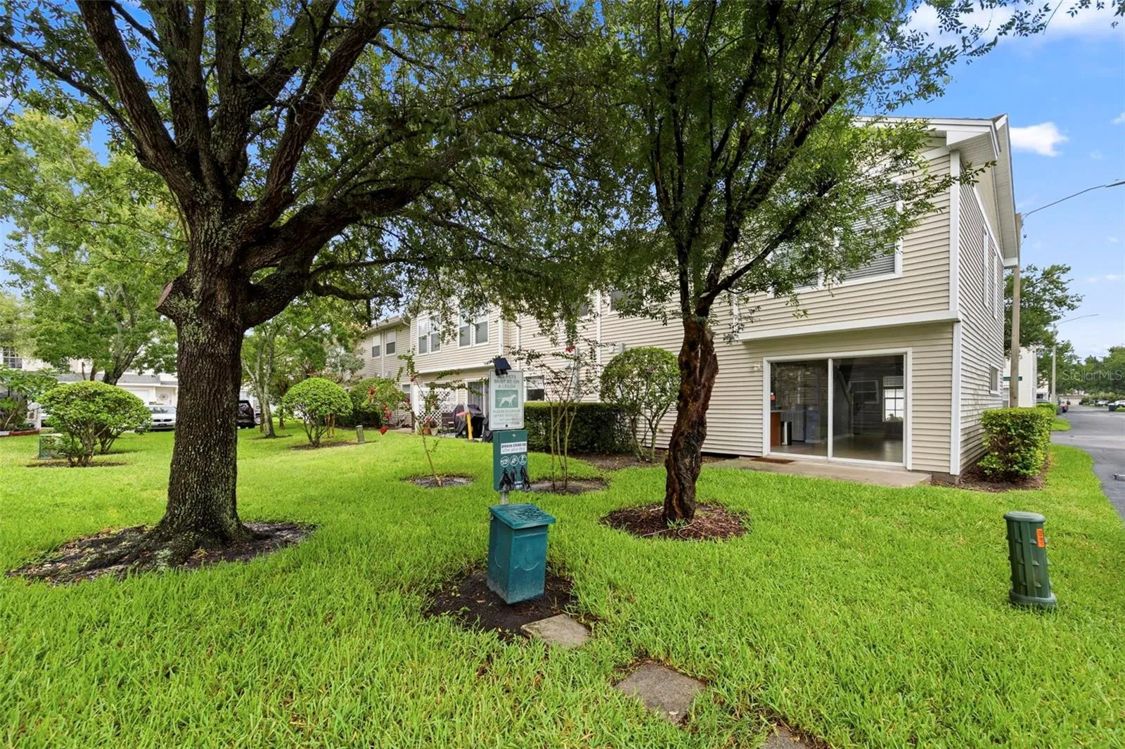 Back yard