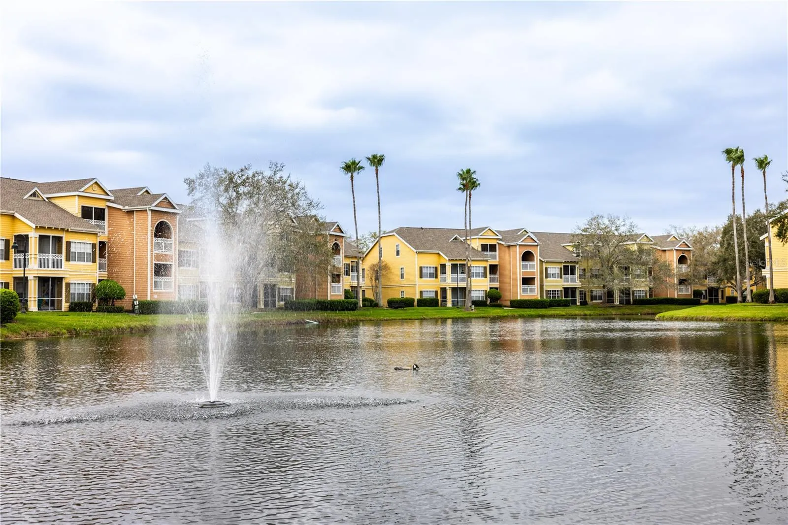 Community view