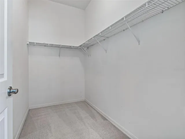 Spacious Walk in Closet