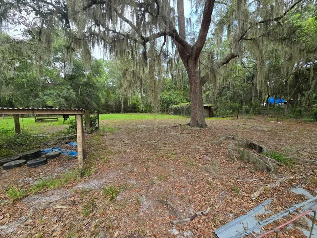 Owner used to have chickens and pigs back in the rear of the property