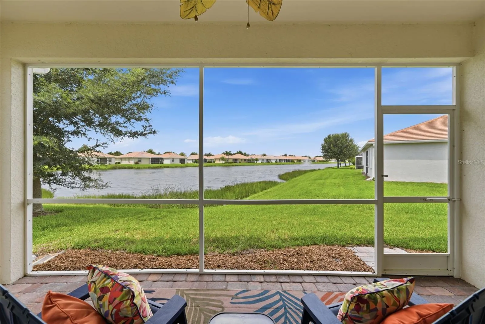 Backyard view