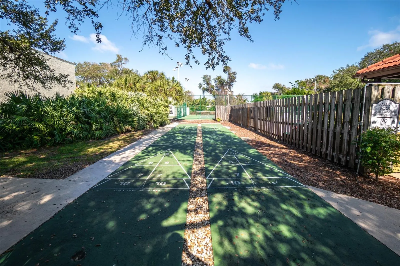 Shuffleboard