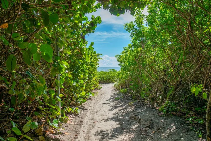 Beach Access