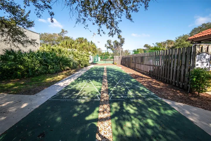 Shuffleboard