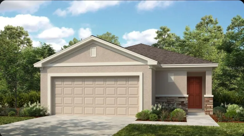 Spruce Rendering