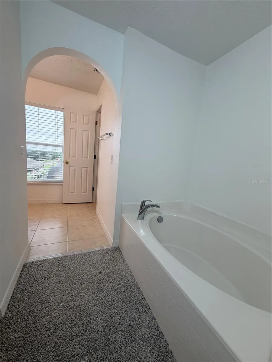 Master Bathroom Tub