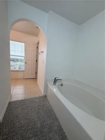 Master Bathroom Tub