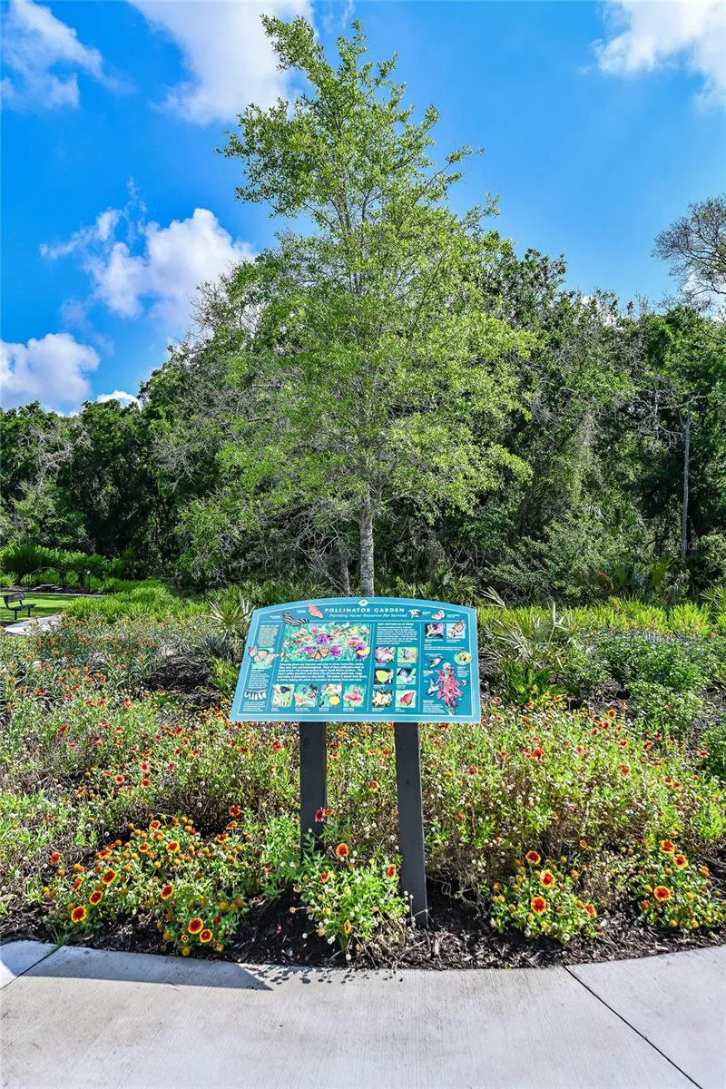 Esplanade at Azario Lakewood Ranch Community