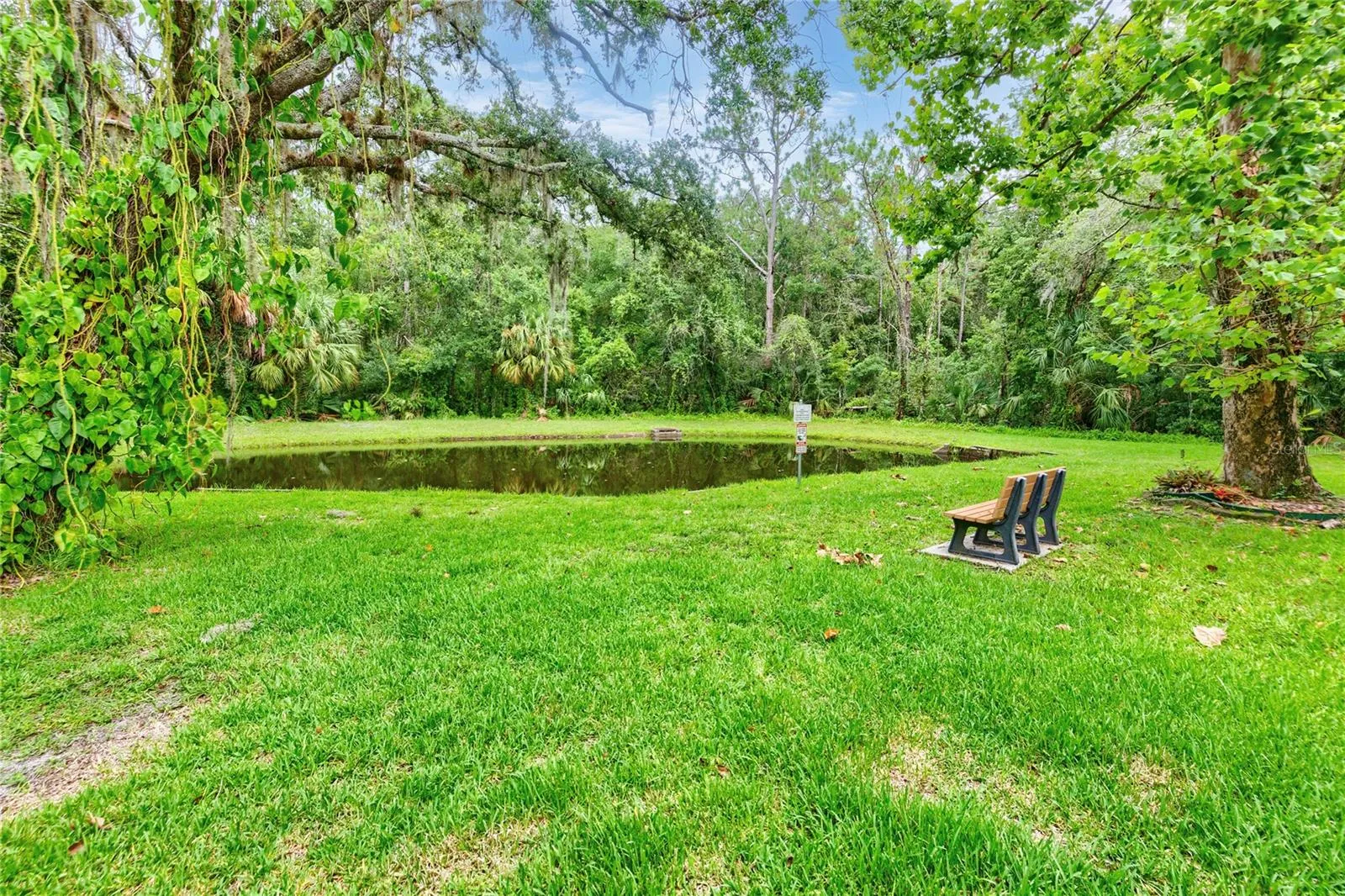 Pond behind unit