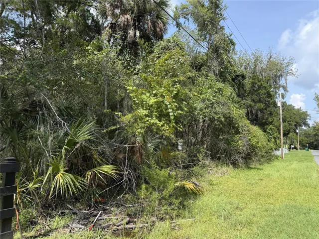 View of front of lot from left front corner