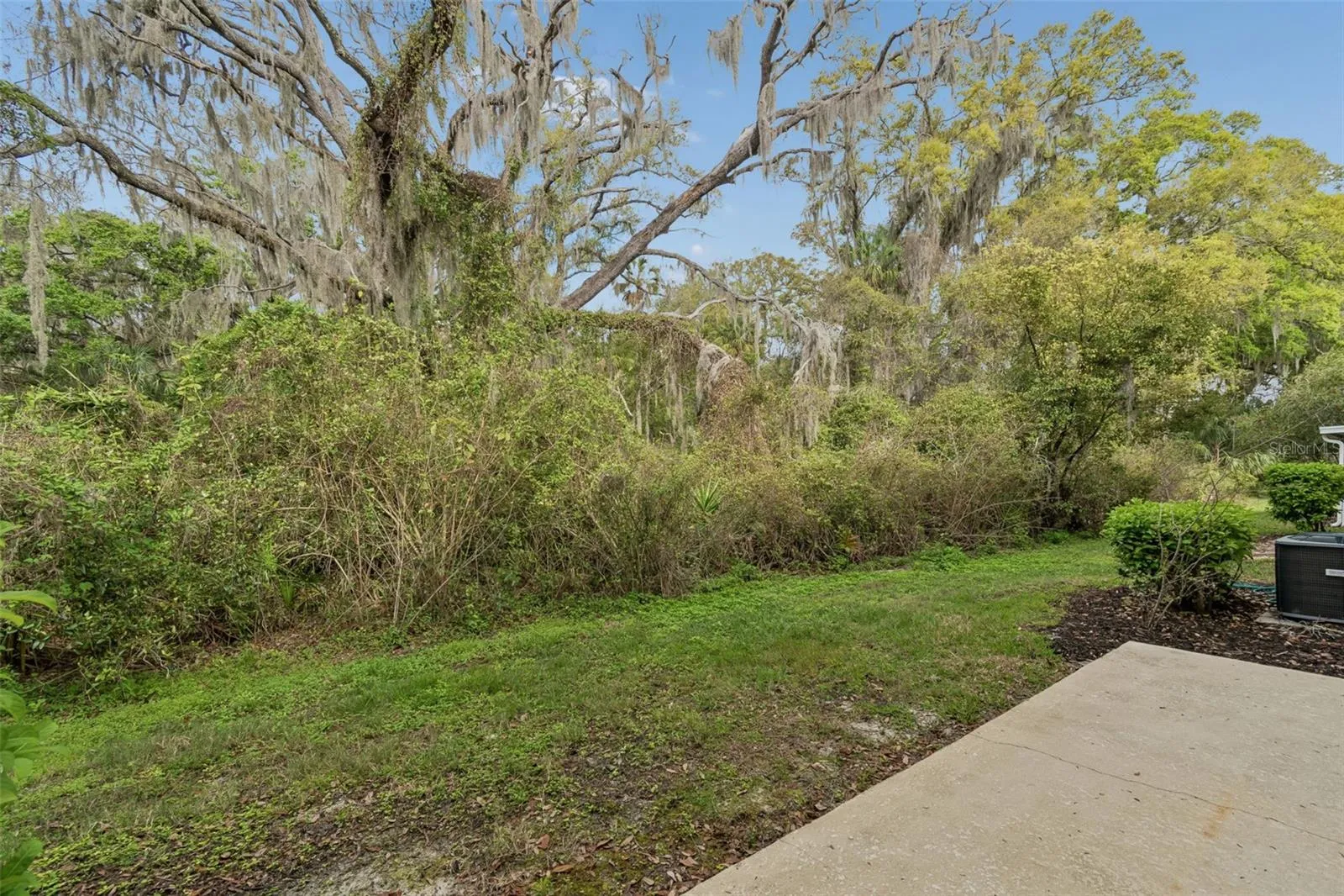 BACKYARD CONSERVATION