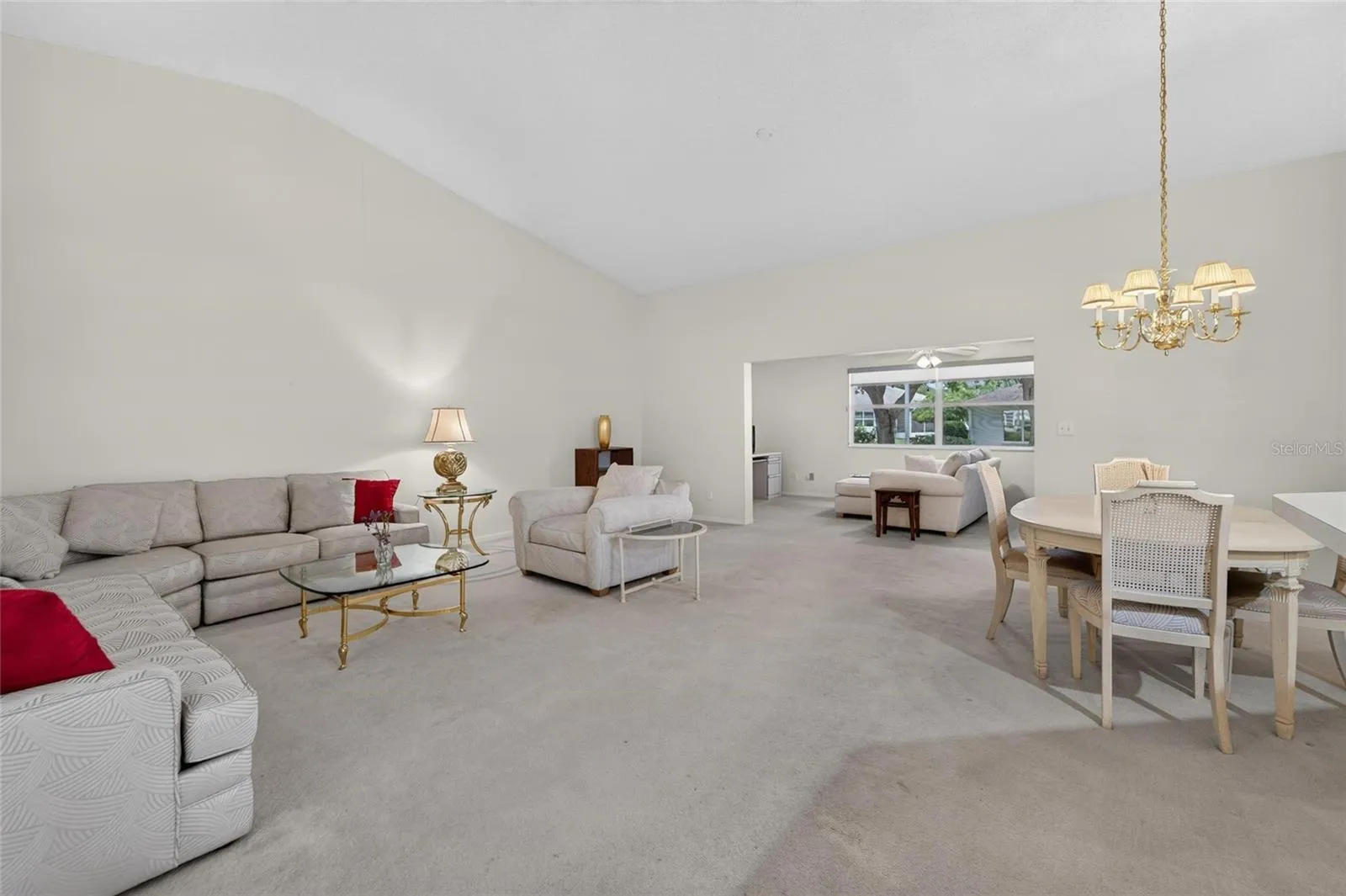 Large Open Concept