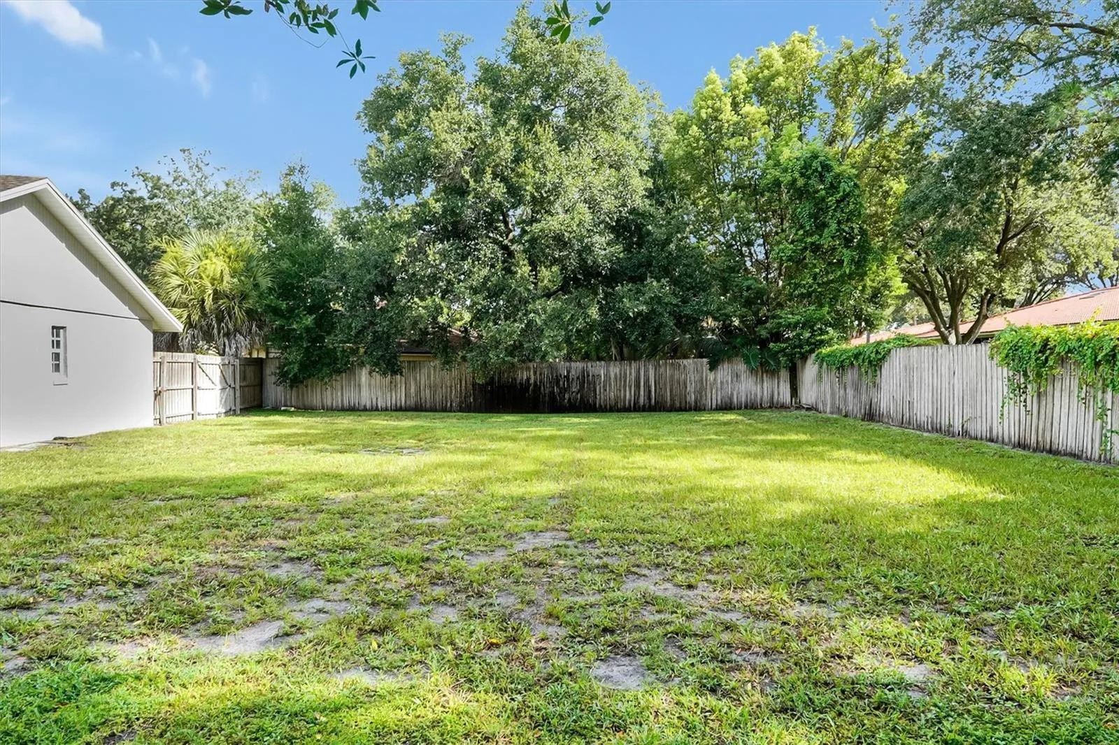 1/3 acre backyard