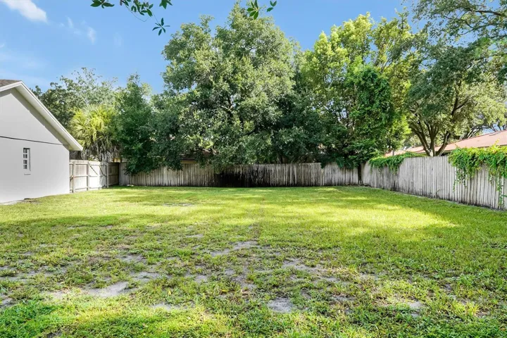 1/3 acre backyard