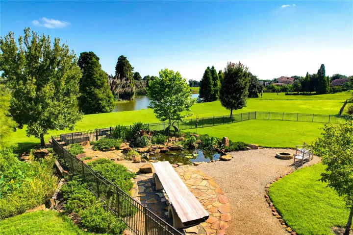 koi pond