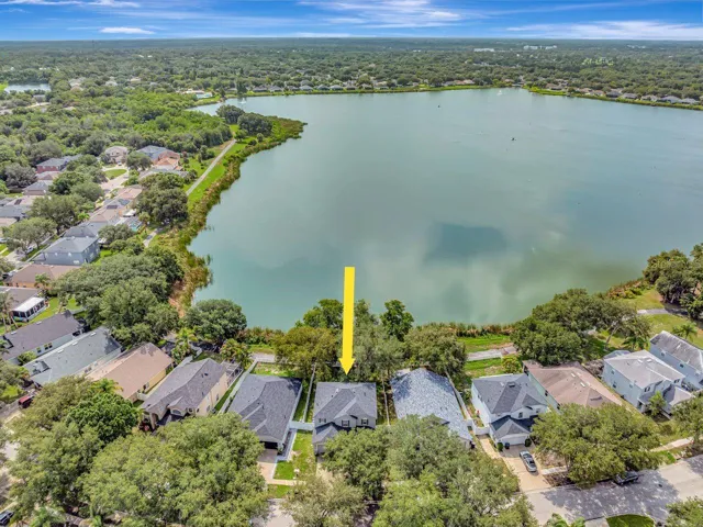 Aerial Views