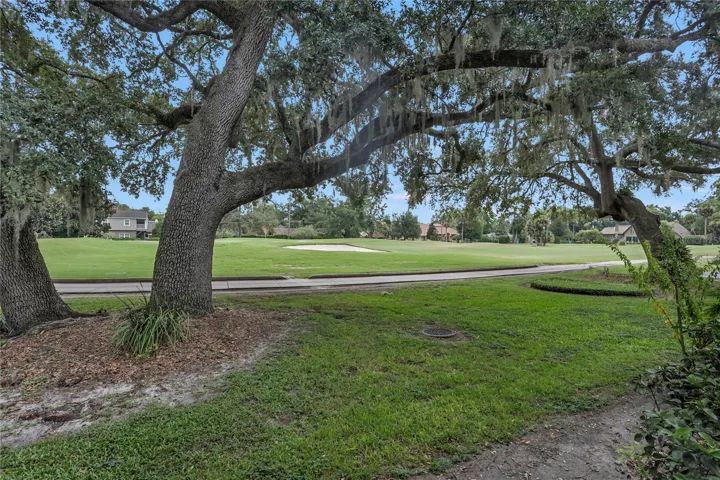 Tranquil view from your private back porch!