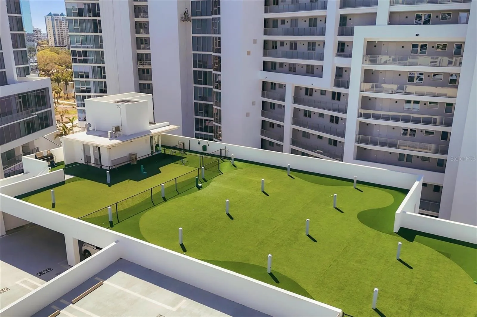 Rooftop Dog Park