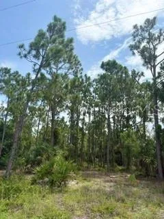 residential lot in Punta Gorda