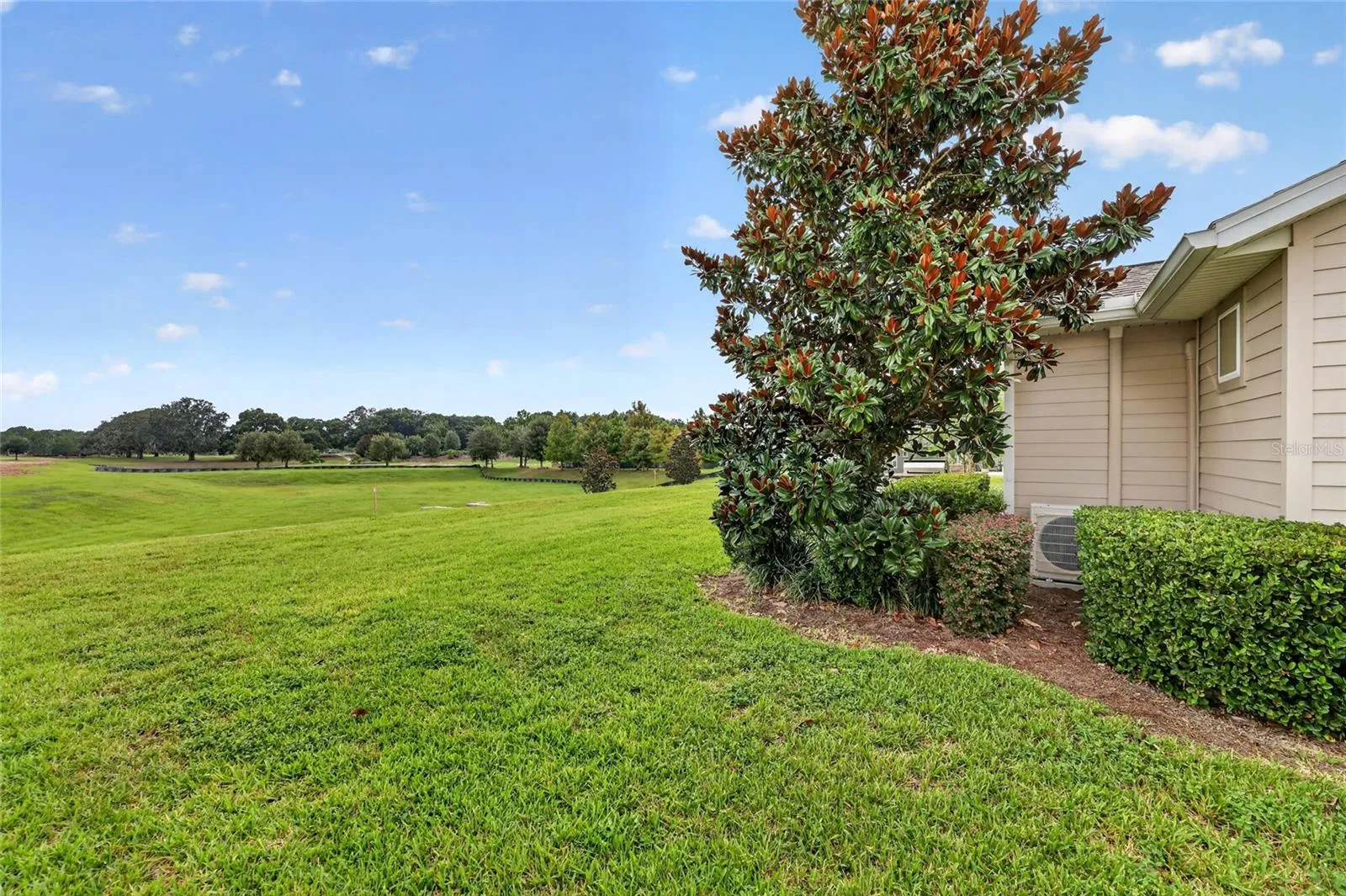 SIDE YARD