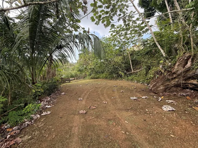 FRONT LAND