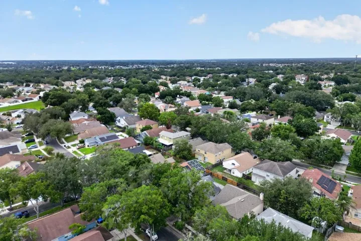 Aerial view showcasing the neighborhood's mature tree canopy.