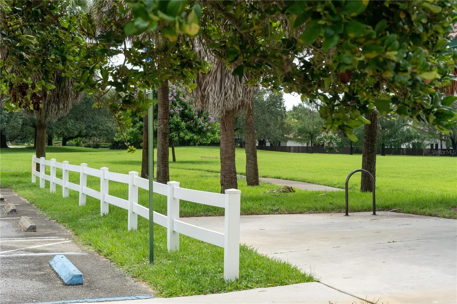 community public park