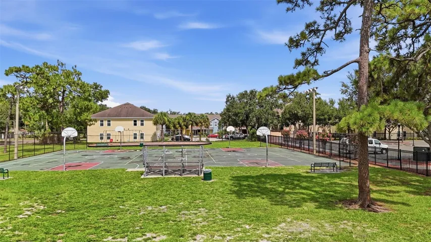 Basketball Court