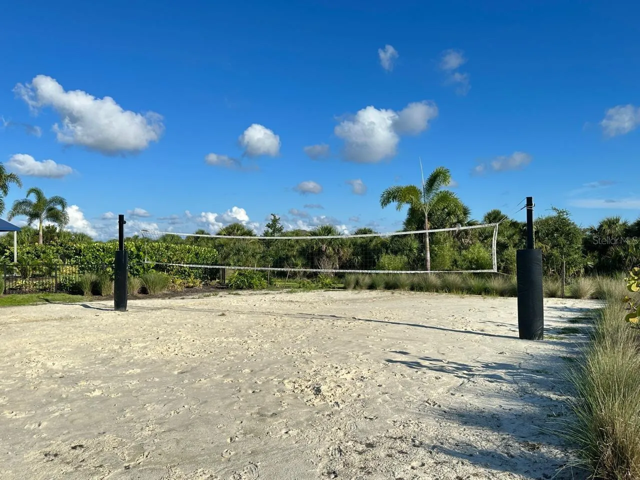 Community Sand Volleyball