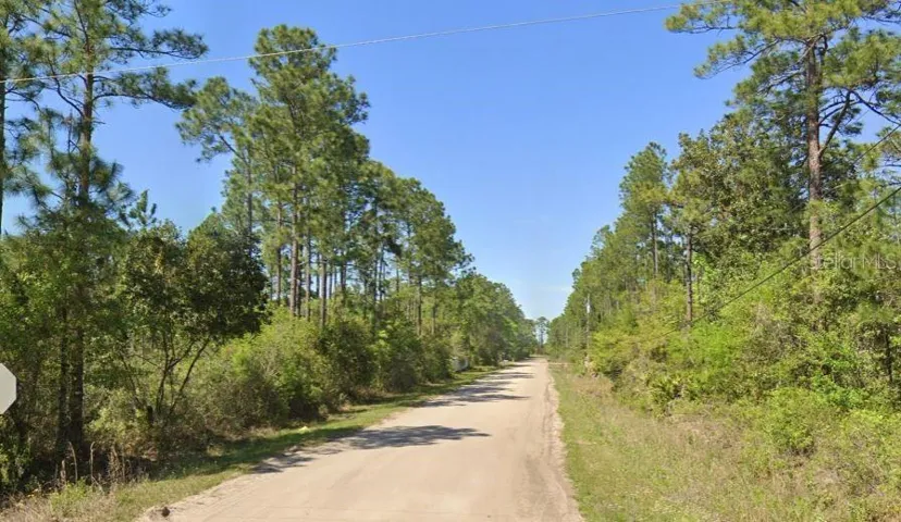 Road coming into the property.