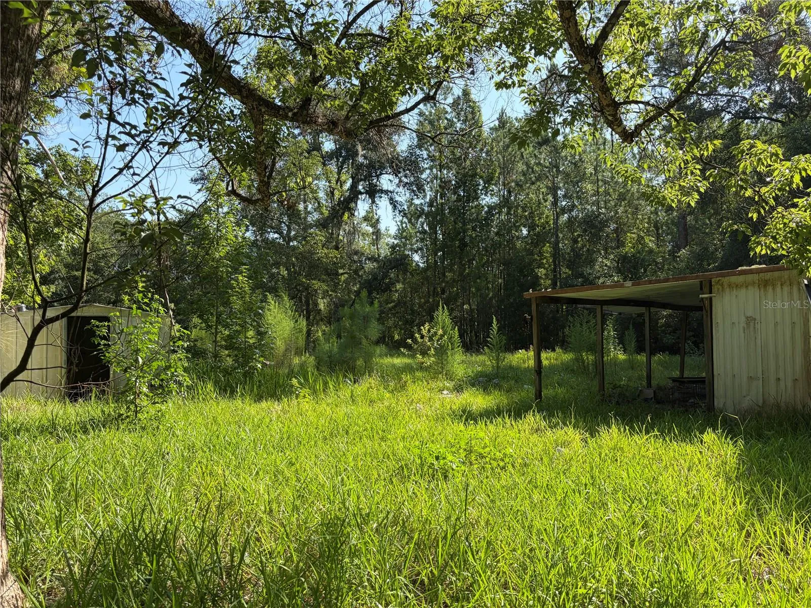 Workshop and shed