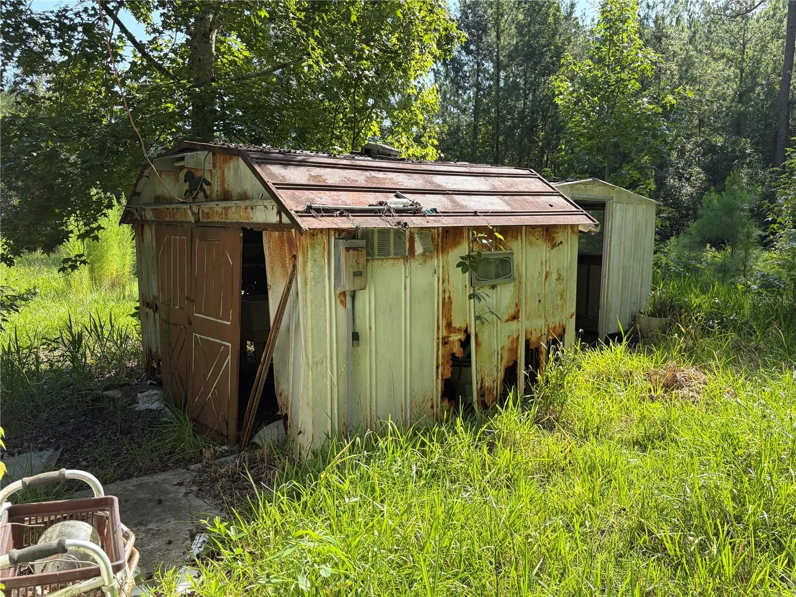 Shed