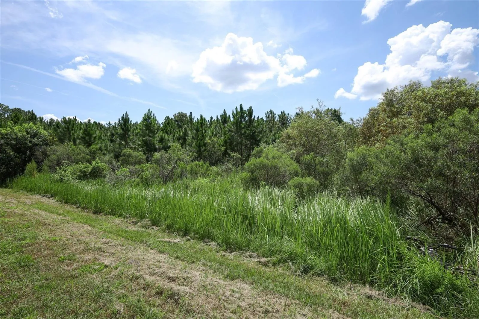 View of the rear exterior of the property.