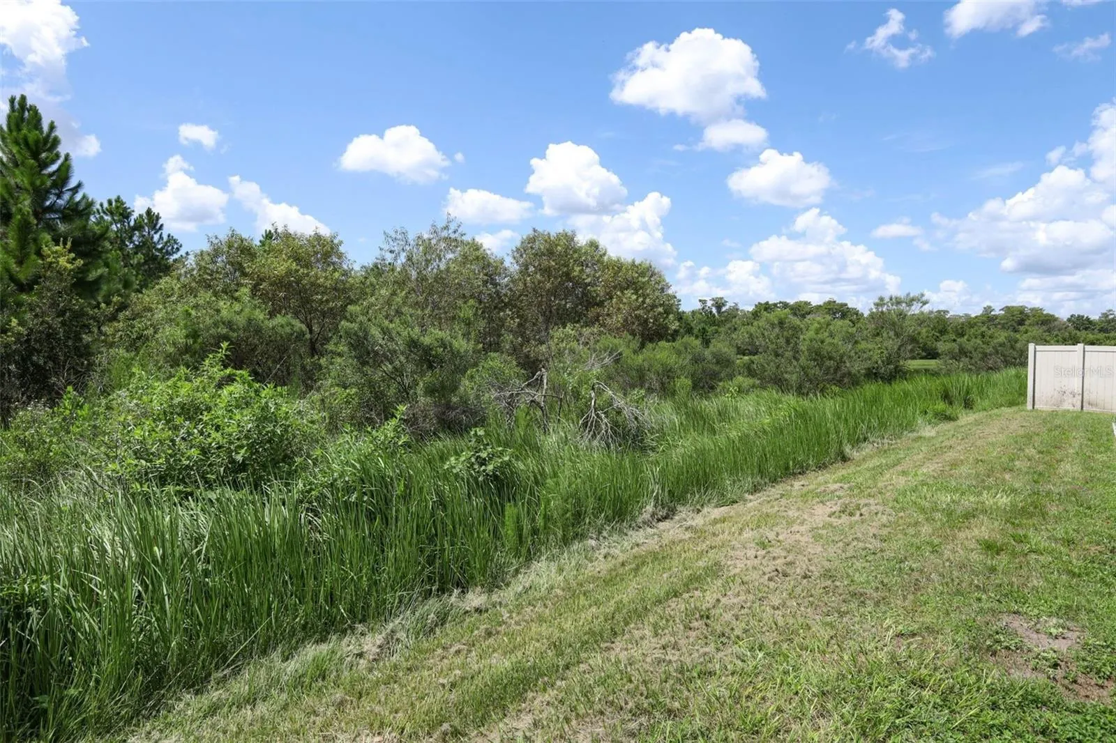 View of the rear exterior of the property.
