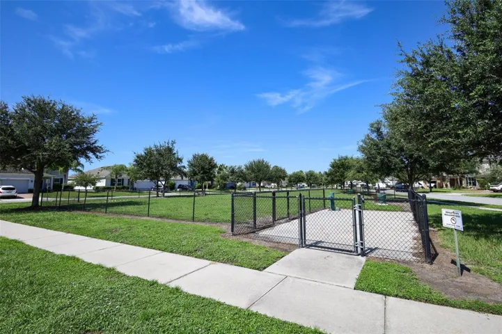 DOGGY PARK -THOSE BABIES COUNT TOO!