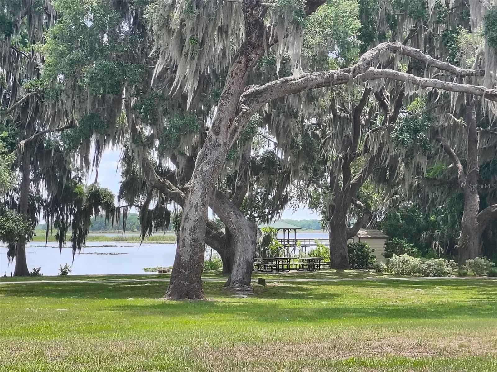 Peaceful views at community park.