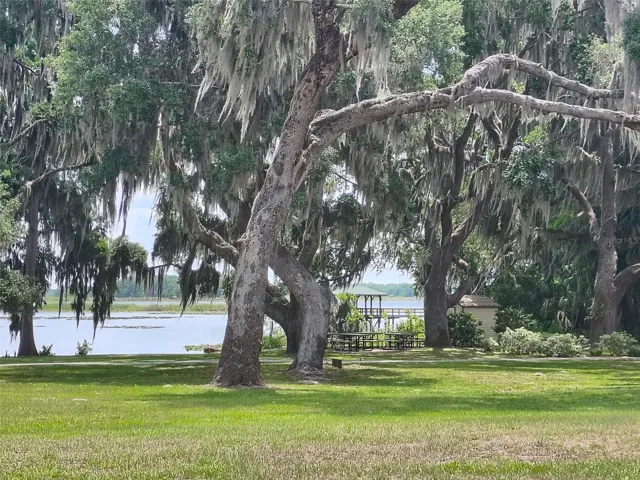 Peaceful views at community park.