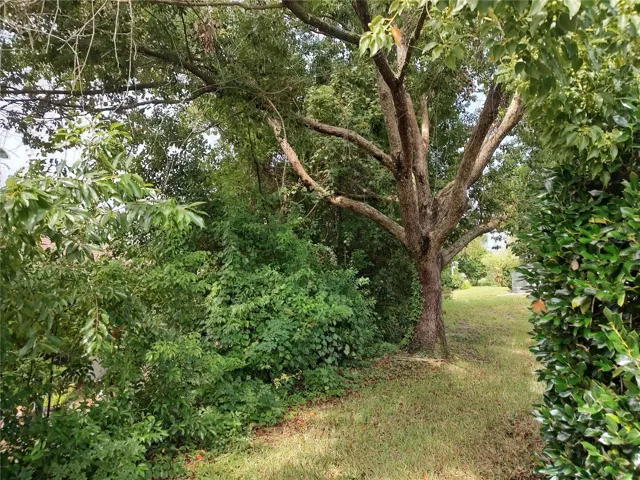 Back yard makes nice border at rear of lot