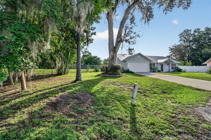Side yard
