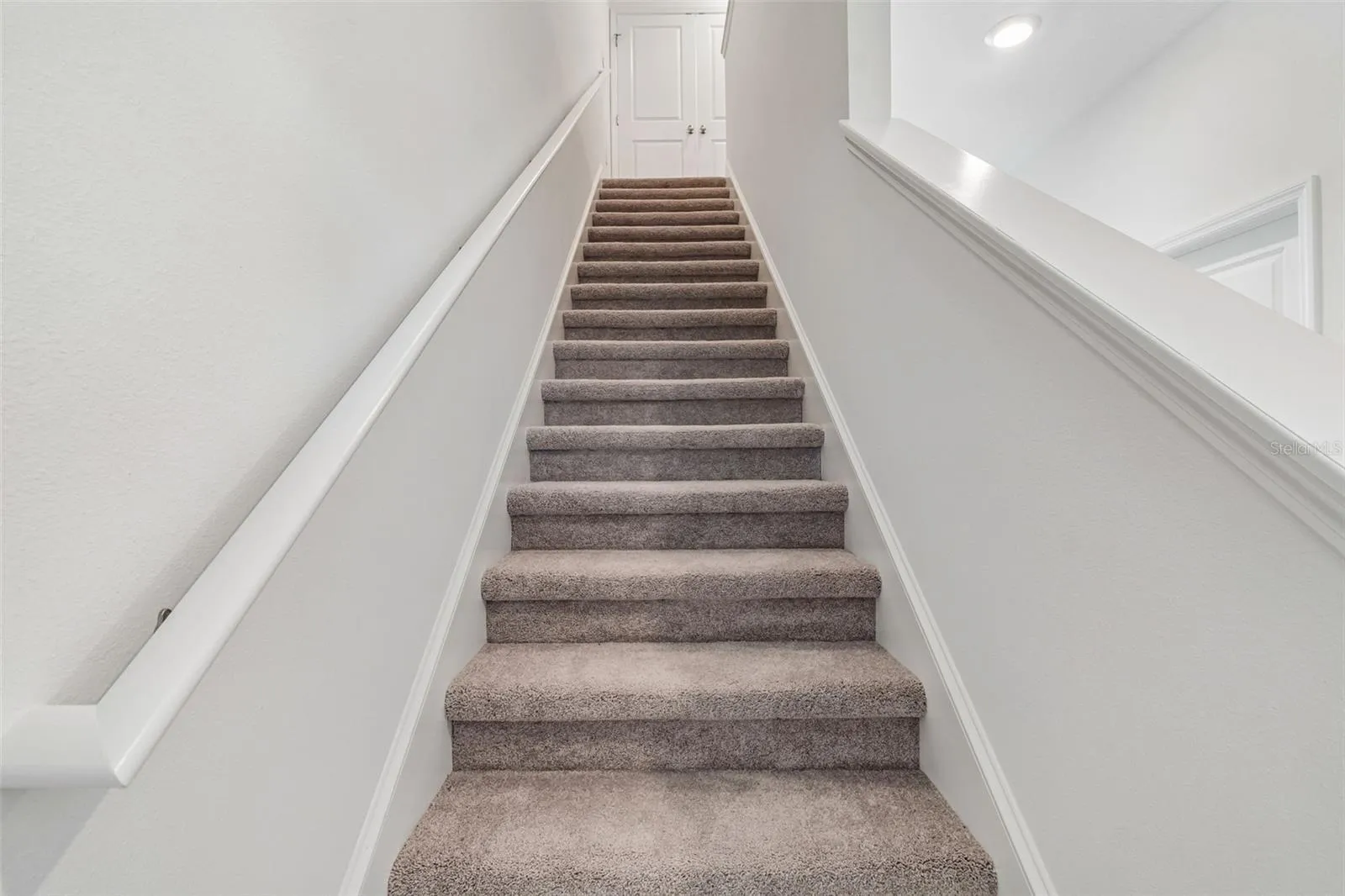 New Carpet