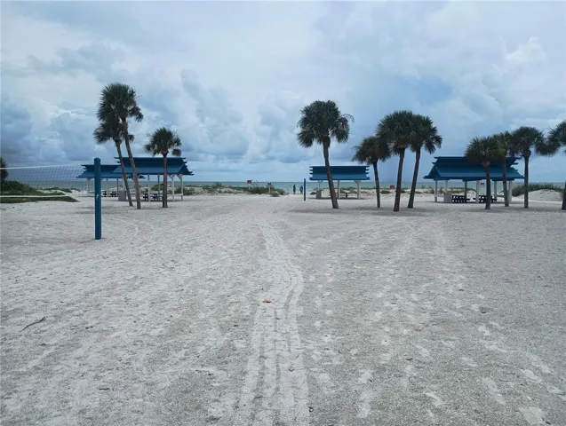 Beach area